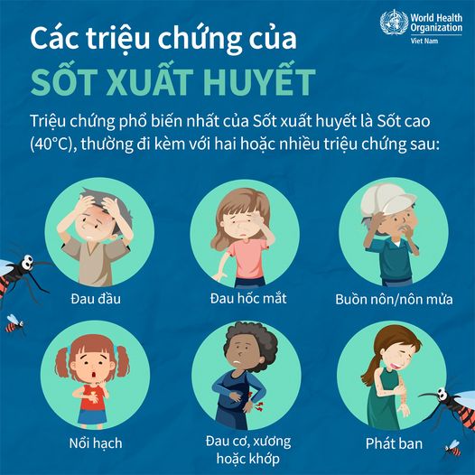 Dấu Hiệu Cảnh Báo Nguy Hiểm Trong Sốt Xuất Huyết ở Trẻ Em Bệnh Viện Bãi Cháy 